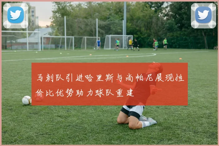 马刺队引进哈里斯与尚帕尼展现性价比优势助力球队重建
