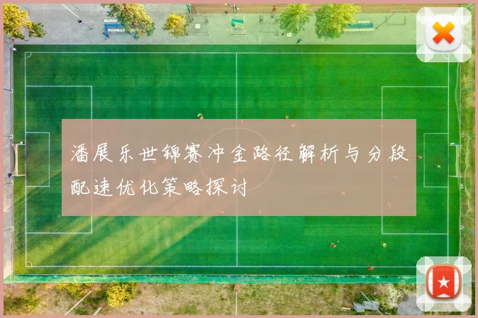 潘展乐世锦赛冲金路径解析与分段配速优化策略探讨